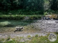 Watermark_3IMG_20250722_104342