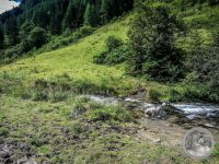 Watermark_9IMG_20250722_105534
