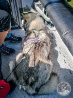 Watermark_3IMG_20250723_103838