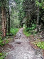Watermark_17IMG_20250724_114615