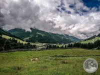 Watermark_1IMG_20250724_111340