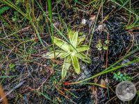 Watermark_24IMG_20250724_115131