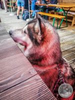 Watermark_32IMG_20250724_122513