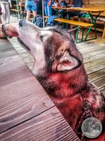 Watermark_33IMG_20250724_122516