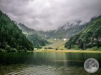 Watermark_18IMG_20250725_120633