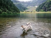 Watermark_20IMG_20250725_120656