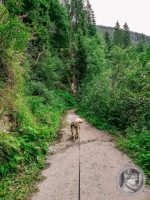 43IMG_20240724_132638-Kopie