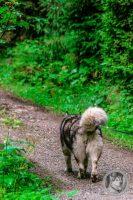 6IMG_7729-Kopie