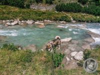 6IMG_20240727_124046-Kopie