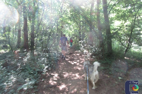 Glockenbergrunde ab Würnitz Waldteich (9,5km - 10.06.2018)