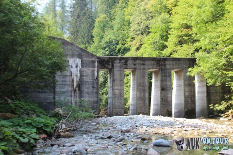 Groppensteinschlucht (1. August 2018)