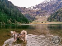 14IMG_20230924_135922-Kopie