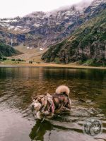 15IMG_20230924_135948-Kopie