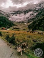 18IMG_20230924_140632-Kopie