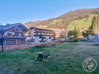 1IMG_20230925_083123-Kopie