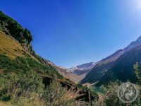 51IMG_20230925_142303-Kopie