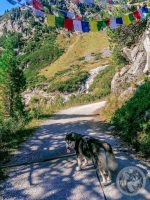 53IMG_20230925_144816-Kopie