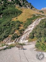 54IMG_20230925_145043-Kopie
