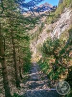 55IMG_20230925_150316-Kopie