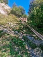 56IMG_20230925_150428-Kopie