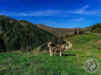 11IMG_20230926_111644-Kopie
