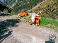 16IMG_20230926_132439-Kopie