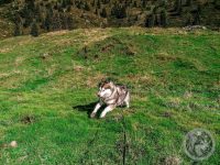 4IMG_20230926_111541_1-Kopie