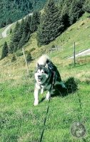 8IMG_20230926_1116232-Kopie