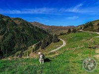 9IMG_20230926_111623_1-Kopie