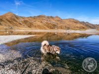 10IMG_20230927_103515-Kopie