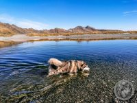 11IMG_20230927_103520-Kopie