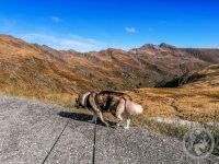 18IMG_20230927_104603-Kopie