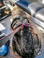 1IMG_20230927_101243-Kopie