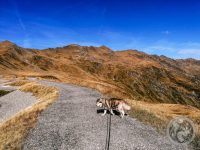 20IMG_20230927_104630-Kopie
