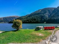 49IMG_20230927_133023-Kopie