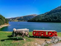 50IMG_20230927_133036-Kopie