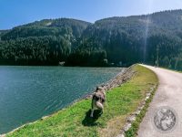 51IMG_20230927_133046-Kopie