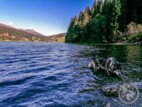 54IMG_20230927_133926-Kopie