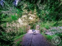 57IMG_20230927_134354-Kopie