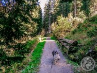 58IMG_20230927_135846-Kopie