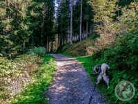 59IMG_20230927_135903-Kopie