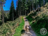60IMG_20230927_140151-Kopie