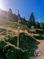 68IMG_20230927_150149-Kopie