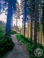 71IMG_20230927_150449-Kopie
