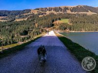72IMG_20230927_152610-Kopie