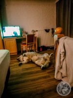 79IMG_20230927_211114-Kopie