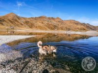 9IMG_20230927_103514-Kopie