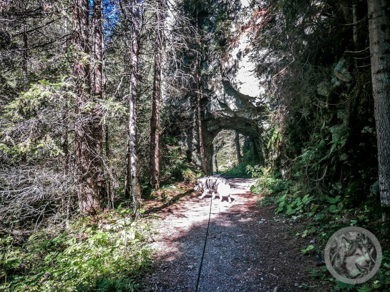 12IMG_20230928_115821-Kopie