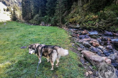 Herbsturlaub 2023 - Tag 6
