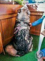 1IMG_20230928_094853-Kopie
